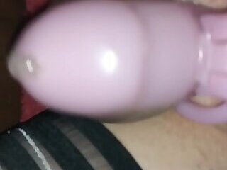 Pink Chastity Cum 1