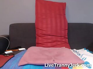 ninewladyboy shemale webcam