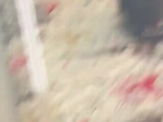 Tranny Sexual Slut 68