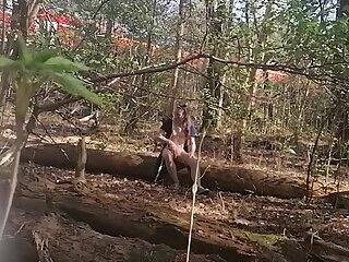 in the woods