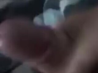 Chupar pau assim eu quero