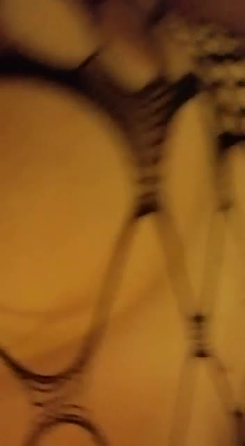 Riding bareback shemale cock