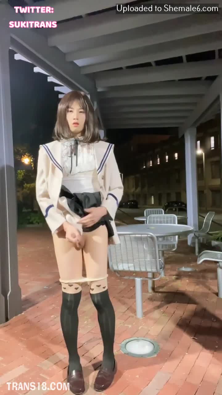 ZXuky Trans 23